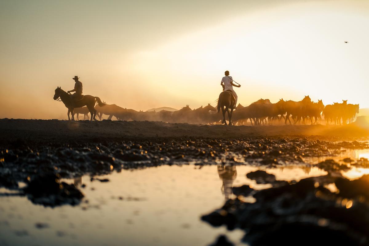 A rider on horseback reflected in still water near Toowoomba, Queensland