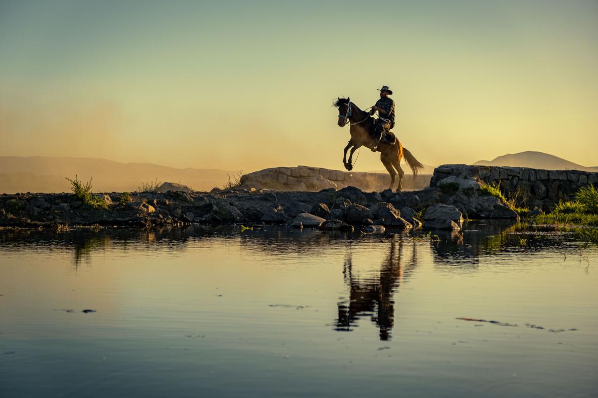 Two riders herding a group of horses across the Saskatchewan prairie at dusk