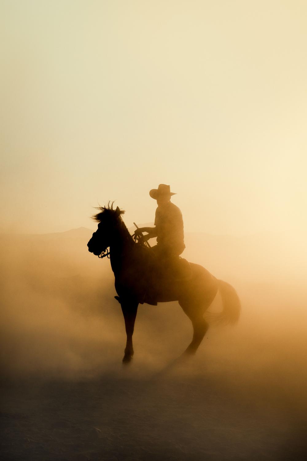 Silhouette of a cowboy on horseback riding through golden dust at sunset