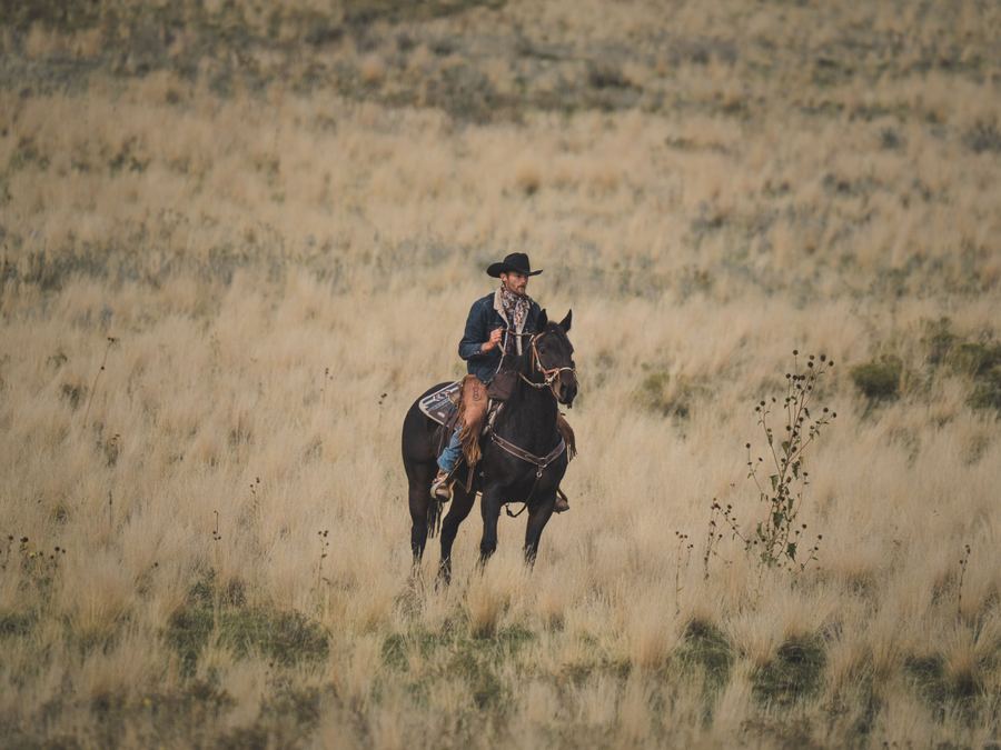 Silhouette of a cowboy on horseback at sunset