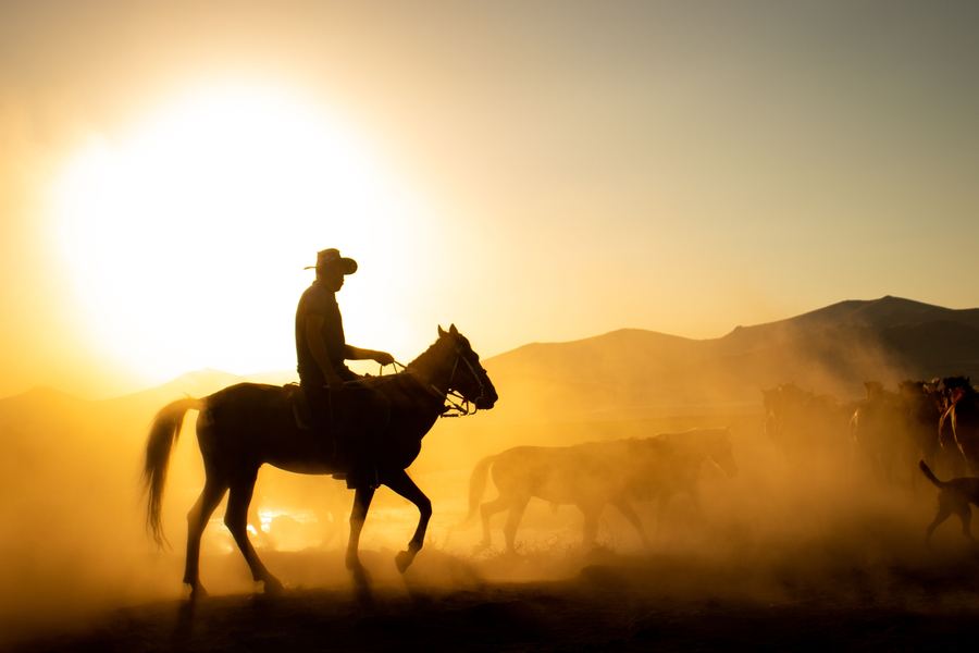 Portrait of a man in a white cowboy hat