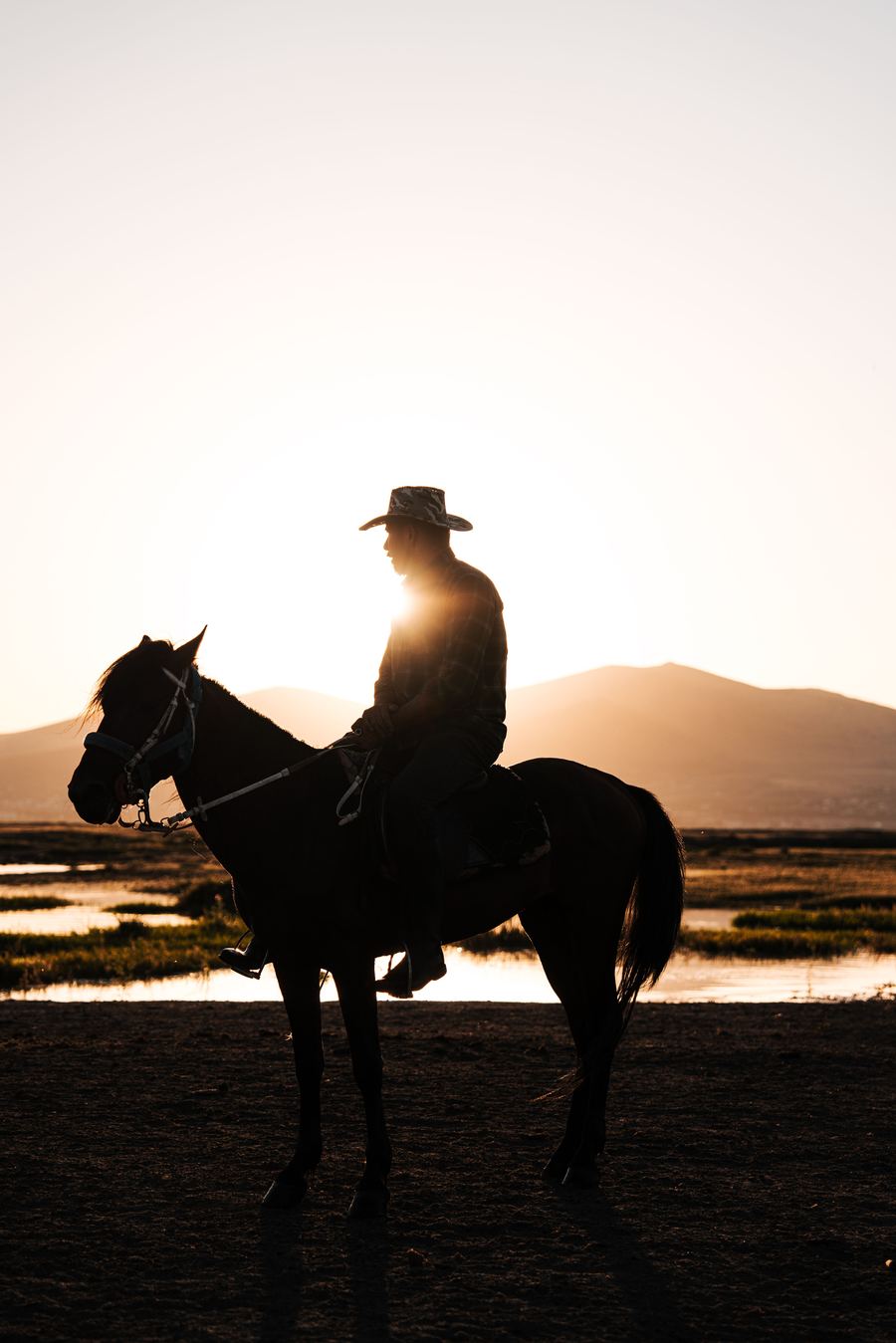 Cowboy on a rearing horse kicking up dust on a ranch