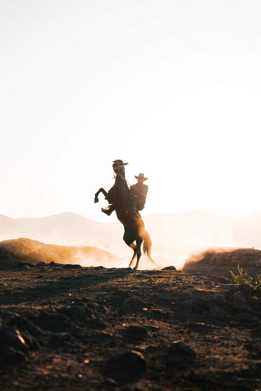 A horse rearing, backlit against a Montana sunset