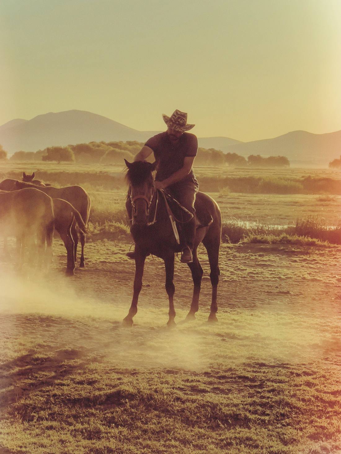Cowboy on horseback herding horses across a ranch at sunrise