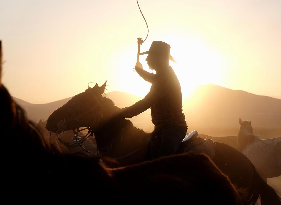 Silhouette of a cowboy on horseback with a raised whip against a Texas sunset, herd in the background